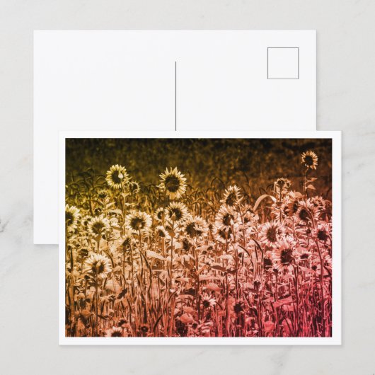 Carte postale "Brigade Tournesol" (Devant / Derrière)