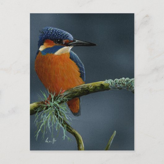 Carte Postale Bright Kingfisher cadeaux (Devant)