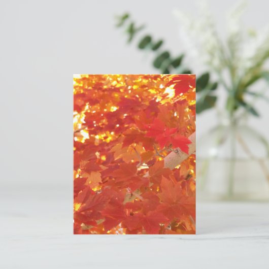 Carte Postale Bright Maple Feuilles (Debout devant)