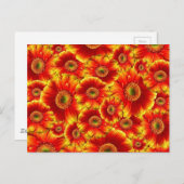 Carte Postale Bright Orange Flowers (Devant / Derrière)