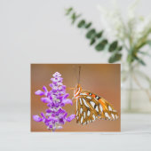 Carte Postale Bright Orange Gulf Fritillary Butterfly (Debout devant)