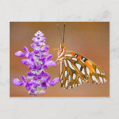 Carte Postale Bright Orange Gulf Fritillary Butterfly (Devant)