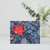 Carte Postale Bright Red Fall Leaf (Debout devant)