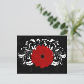 Carte Postale Bright Red Gerbera Daisy on Black (Debout devant)