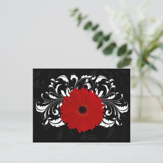 Carte Postale Bright Red Gerbera Daisy on Black (Debout devant)