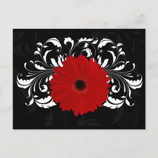 Carte Postale Bright Red Gerbera Daisy on Black (Devant)