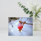 Carte Postale Bright Red Rosehip (Debout devant)