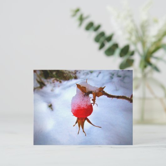 Carte Postale Bright Red Rosehip (Debout devant)