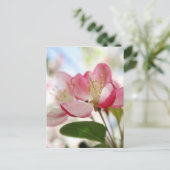 Carte Postale Bright Spring Apple Blossings (Debout devant)