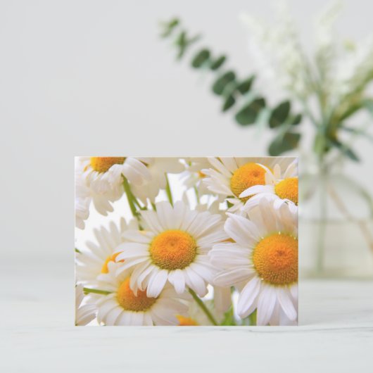 Carte Postale Bright Summer Daisies Fleurs (Debout devant)