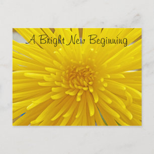 Carte Postale Bright Yellow Spiky Dahlia Photo Penser De Vous