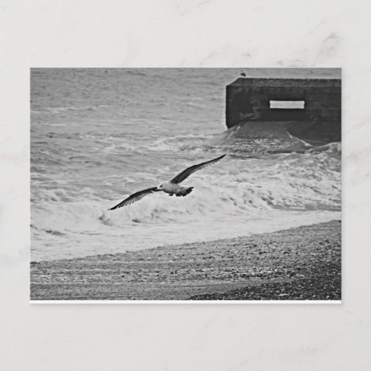 Carte Postale Brighton (Devant)