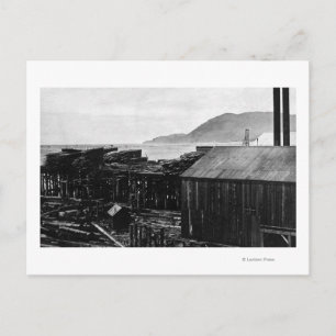 Carte Postale Brighton, Oregon Lumber Mills on Coast Photograph