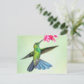 Carte Postale Brillant colibri à couronnes vertes et Fleur rose (Debout devant)