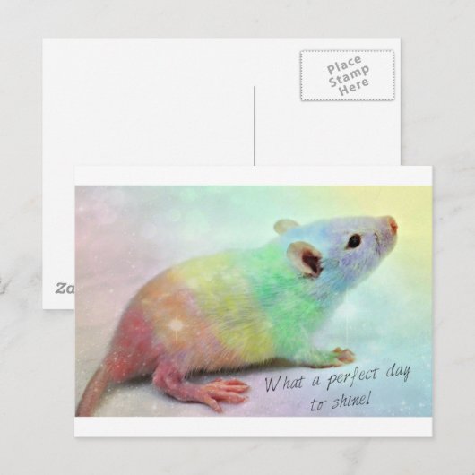 Carte Postale Brille ! (Devant / Derrière)