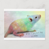 Carte Postale Brille ! (Devant)