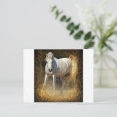 Carte Postale Brille-le ! (Debout devant)