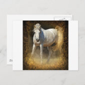 Carte Postale Brille-le ! (Devant / Derrière)