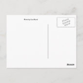 Carte Postale Briller (Dos)