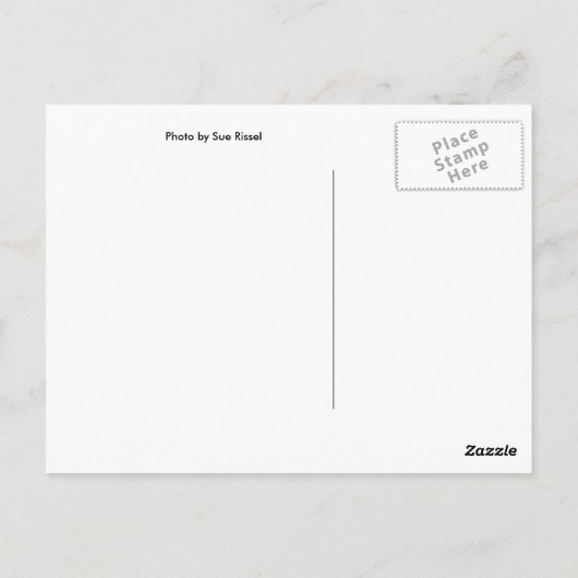 Carte Postale Briller (Dos)