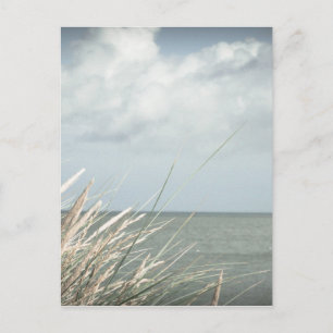Carte Postale Brin