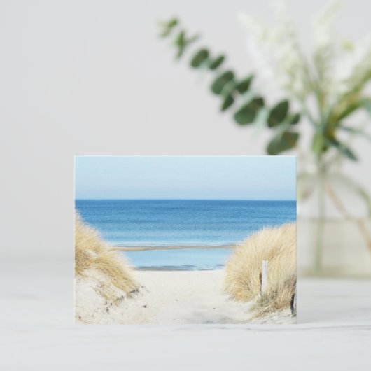 Carte Postale brin (Debout devant)