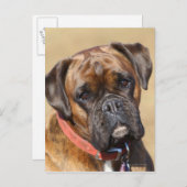 Carte Postale Brindle Boxer Chien (Devant / Derrière)