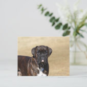 Carte Postale Brindle Boxer Chien debout (Debout devant)
