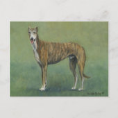 Carte postale "Brindle Greyhound" (Devant)