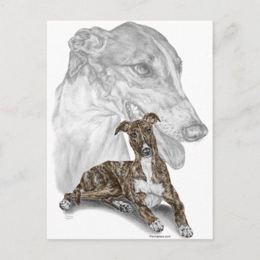 Carte Postale Brindle Greyhound Chig Art (Devant)
