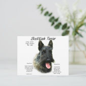 Carte Postale Brindle Scottish Terrier History (Debout devant)