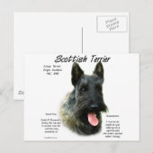 Carte Postale Brindle Scottish Terrier History (Devant / Derrière)