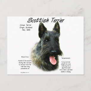 Carte Postale Brindle Scottish Terrier History