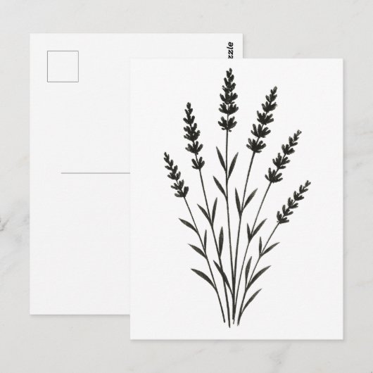 Carte Postale Brins de Lavande – Conception Botanique Minimalist (Devant / Derrière)