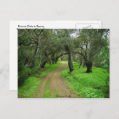 Carte Postale Briones Oaks (Devant / Derrière)