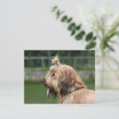 Carte Postale brique (Debout devant)