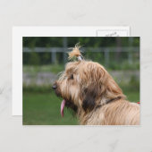 Carte Postale brique (Devant / Derrière)