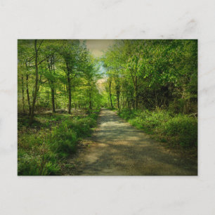 Carte Postale Bristol Avon Forest au printemps.