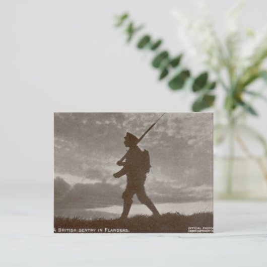 Carte Postale British Sentry (Debout devant)