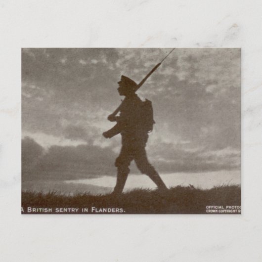 Carte Postale British Sentry (Devant)
