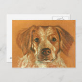 Carte postale Brittany (Devant / Derrière)