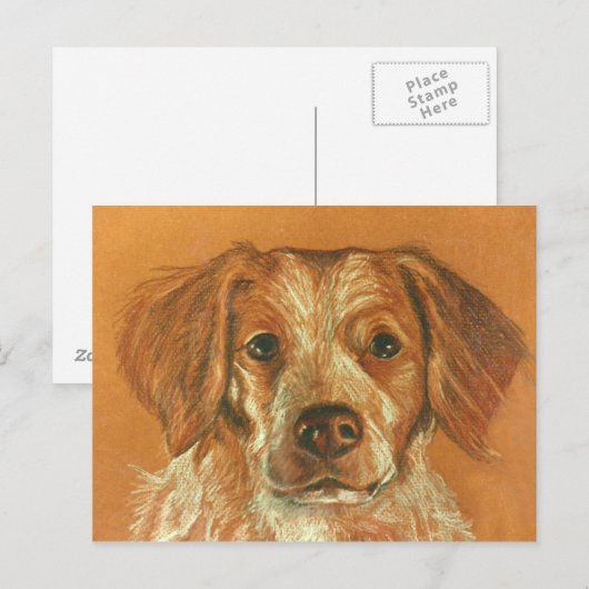 Carte postale Brittany (Devant / Derrière)