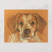 Carte postale Brittany (Devant)