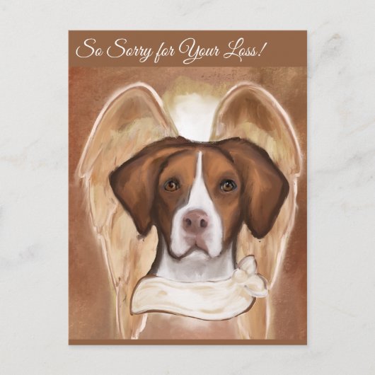 CARTE POSTALE BRITTANY ANGE  (Devant)