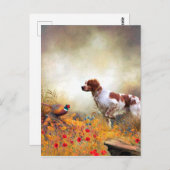 Carte Postale Brittany Espagne (Devant / Derrière)