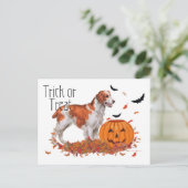 Carte Postale Brittany Halloween (Debout devant)