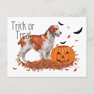 Carte Postale Brittany Halloween