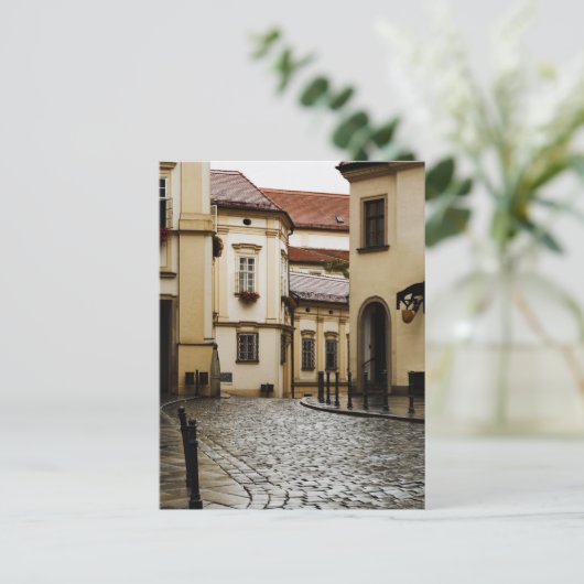 Carte Postale Brno, République tchèque (Debout devant)