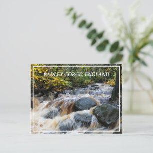 Carte Postale Broche à ordures en pleine marée, Gorge Padley, Ro