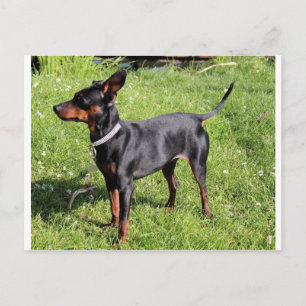 Carte Postale broche principale noire et rouille pleine